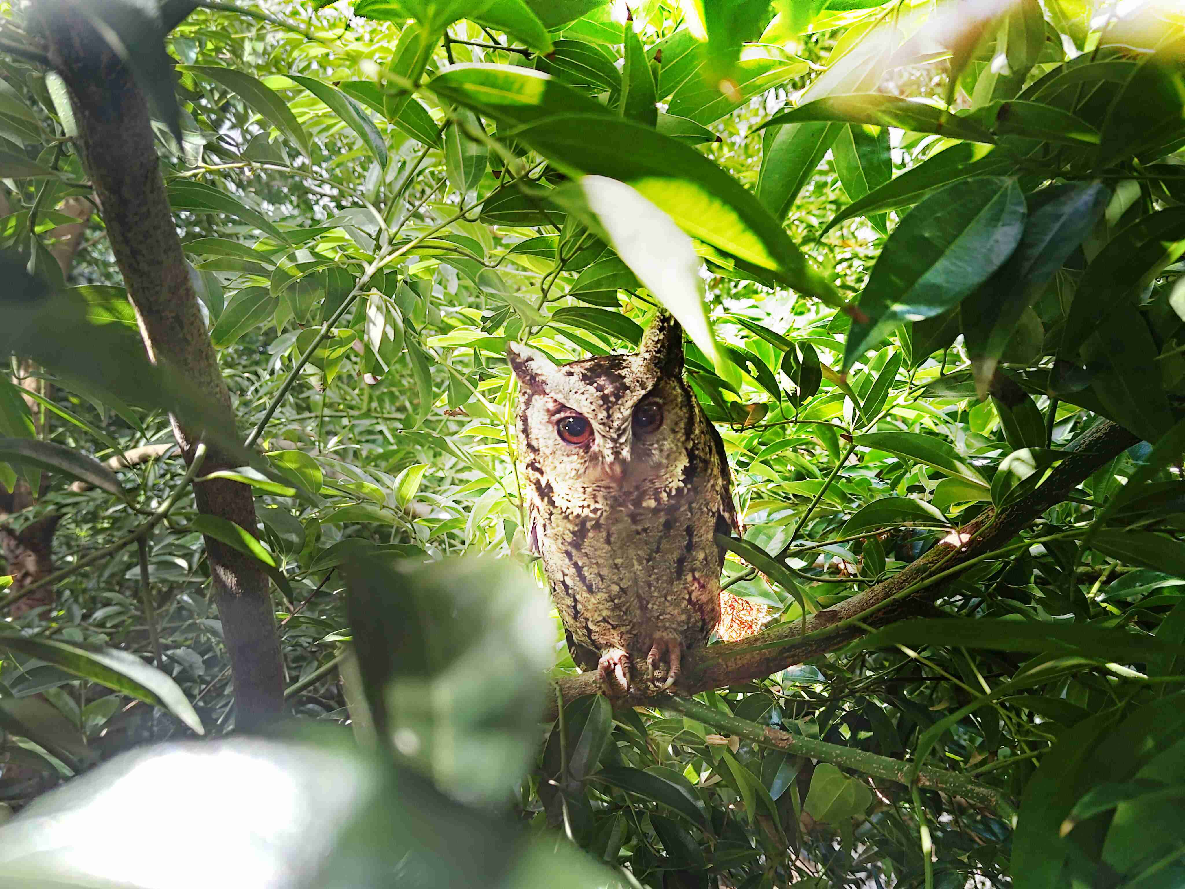 赏金国际致力提倡净零绿生活，，16年以来在全球各厂区植树逾百万棵，，造就各厂区树木蔚然成林，，，犹如森林工厂，，成为许多生物的栖息地